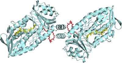 3-Hydroxybenzoate 6-Hydroxylase from <mark class="highlighted">Rhodococcus jostii RHA1</mark> Contains a Phosphatidylinositol Cofactor